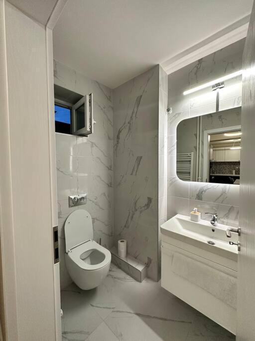 Ultracentral Luxury Apartament Timisoara Exterior photo